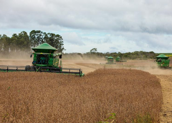 Mesmo com ajustes na safra, MT mantém liderança nacional com apoio de incentivos e crédito